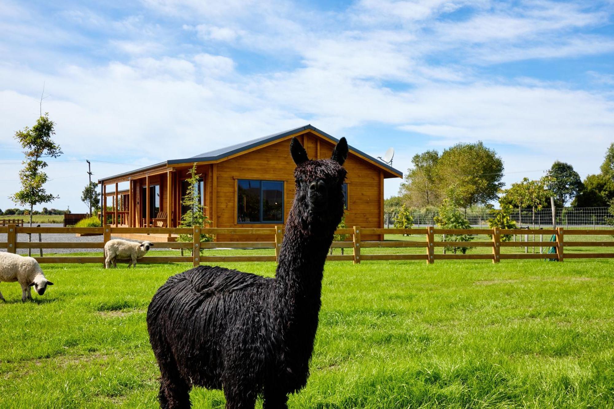 Deerbrooke Kaikoura Chalets - Chalet 2 Екстер'єр фото
